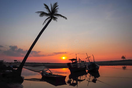 海滩上椰树的剪影和日落