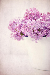 一束紫色的丁香花在复古的背景上