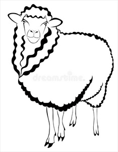 绵羊羔羊