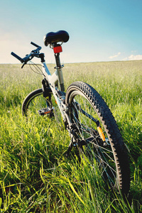 停在草地上的自行车