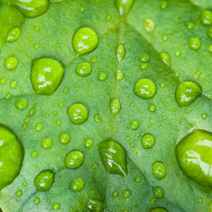 雨滴