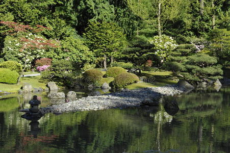 日本花园，西雅图，美国