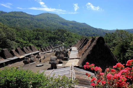 印尼传统村落景观图片