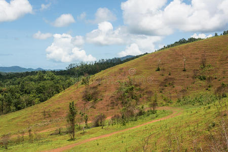 泰国美丽的风景干草山