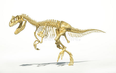 异龙骨架照片真实,科学正确.照片