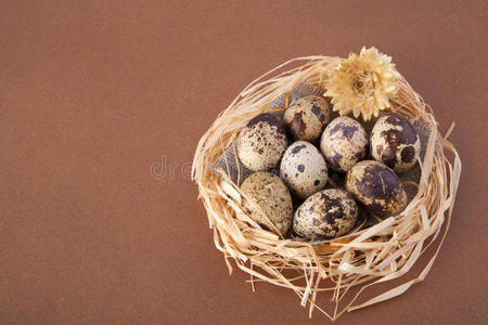 褐色巢中的复活节彩蛋