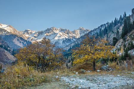 哈萨克斯坦阿拉木图奇姆布拉克自然山雪和蓝天全景图