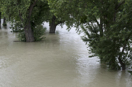 多瑙河洪水图片