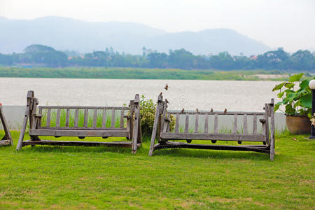 瓷器 海洋 美女 公园 古老的 椅子 花园 放松 家具 郁郁葱葱