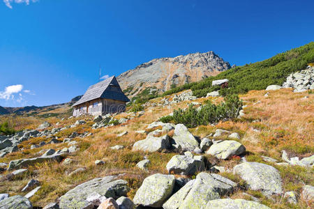 塔特拉高山五湖谷的夏天