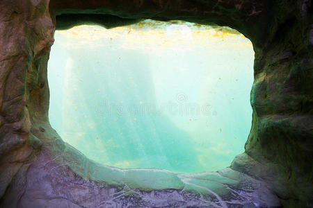 水族箱图片