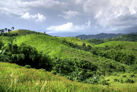 云上青山