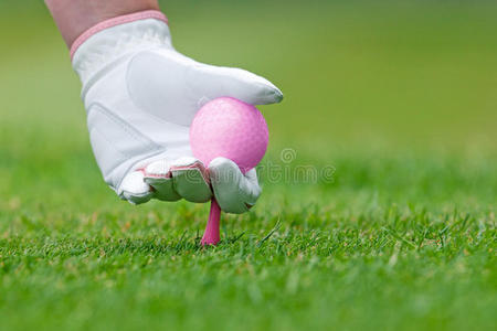 女士高尔夫手把粉红色的球座和球放在地上。