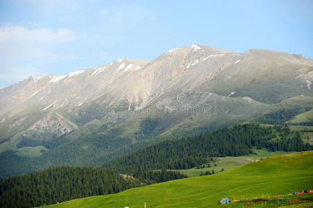 夏天的群山