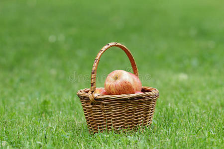 柳条篮子里装满了喜庆的苹果图片
