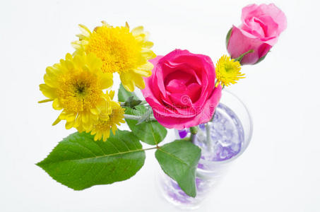粉红玫瑰黄菊花图片
