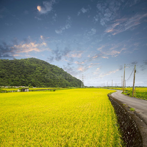 山清水秀