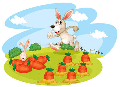 带着胡萝卜在花园里奔跑的兔子