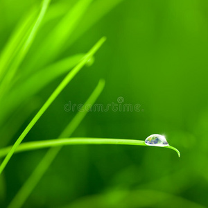 世界变成了草地上的一滴水有复制空间