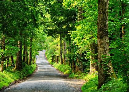 弯弯的小路图片