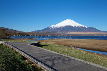 春天的富士山