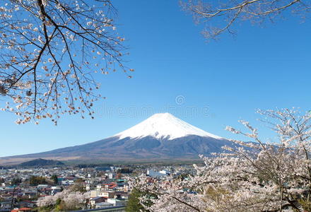 富士山