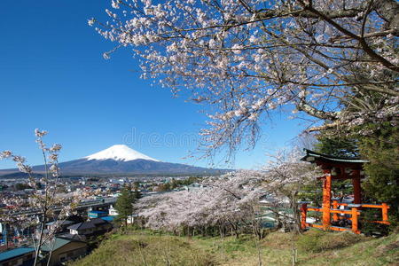 富士山