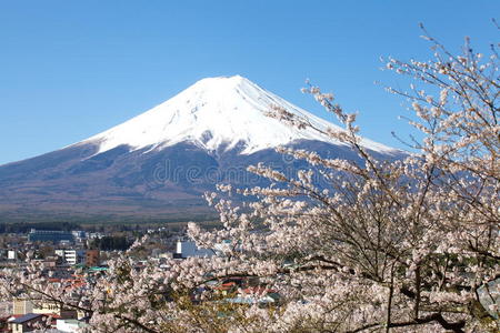 富士山