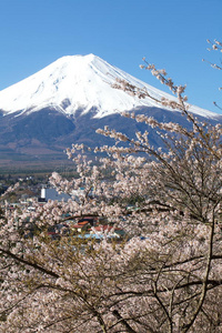 富士山