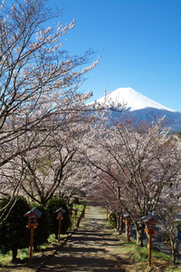 富士山