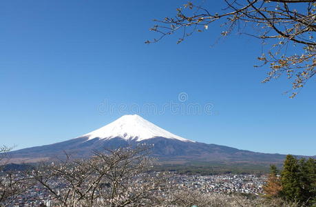 富士山