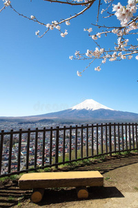 富士山