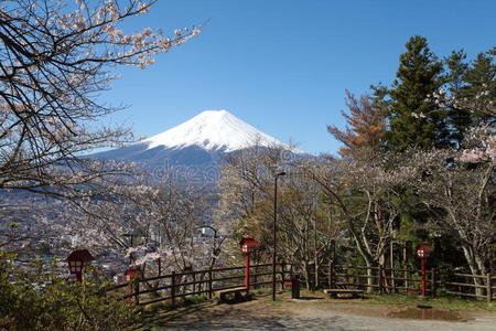 富士山