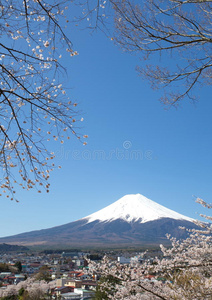 富士山