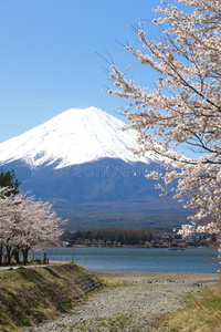 富士山