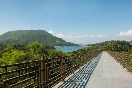 通向远方的桥图片