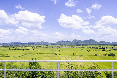 稻田山青天