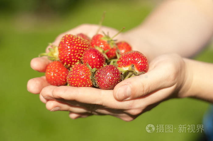 手里拿着草莓的小女孩