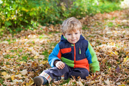 小男孩在秋天公园玩得开心