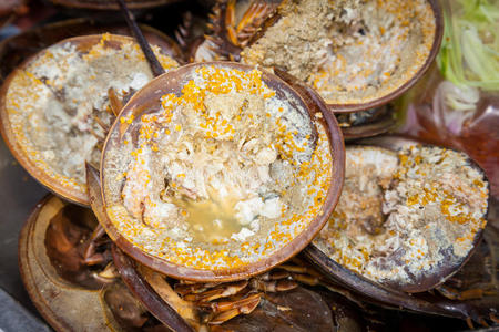 海滨 多足动物 海的 渔民 生活 裂解物 服务提供商 甲壳类动物