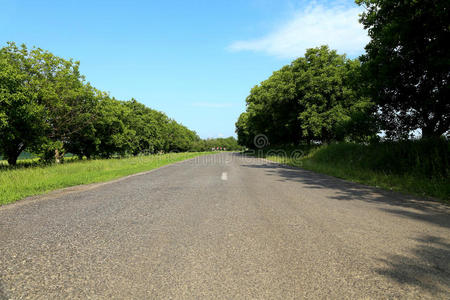 乡村公路在蓝天的映衬下右转