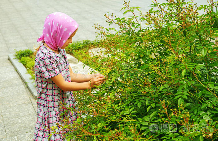 小女孩审视绿树丛