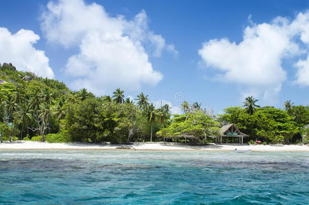 热带海滩上的白色珊瑚沙。马厄岛，西舍尔群岛。