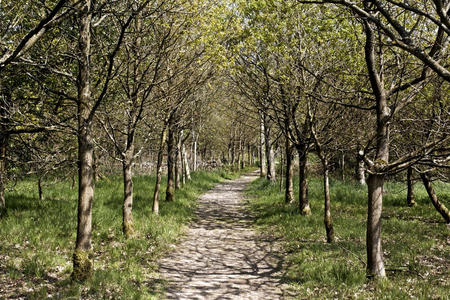 库姆海滩埃及库姆·奥神庙博尔库姆岛上的沙滩椅卡库姆国家公园的天篷