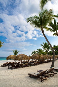 热带天堂的棕榈和热带海滩。多米尼加共和国塞舌尔加勒比菲律宾巴哈马的夏季假日