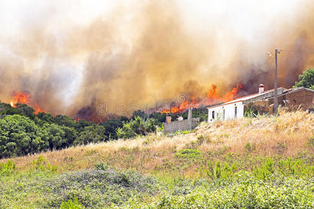 森林大火威胁着房屋