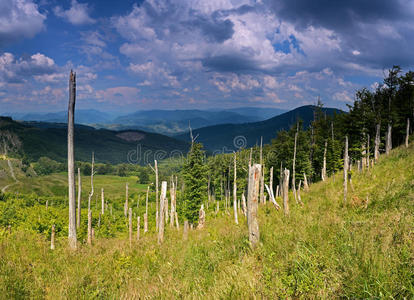 山景