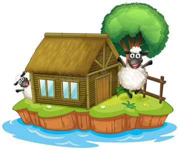 本地羊一个岛上有一座土生土长的房子和两只绵羊照片