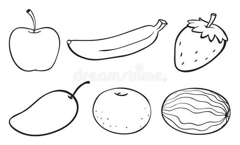 各种水果的素描