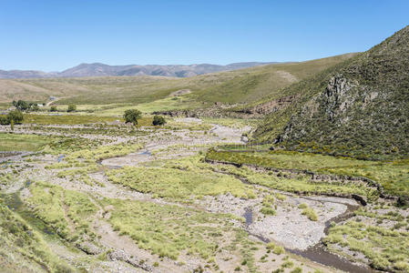 阿根廷jujuy，quebrada de humahuaca秃鹰